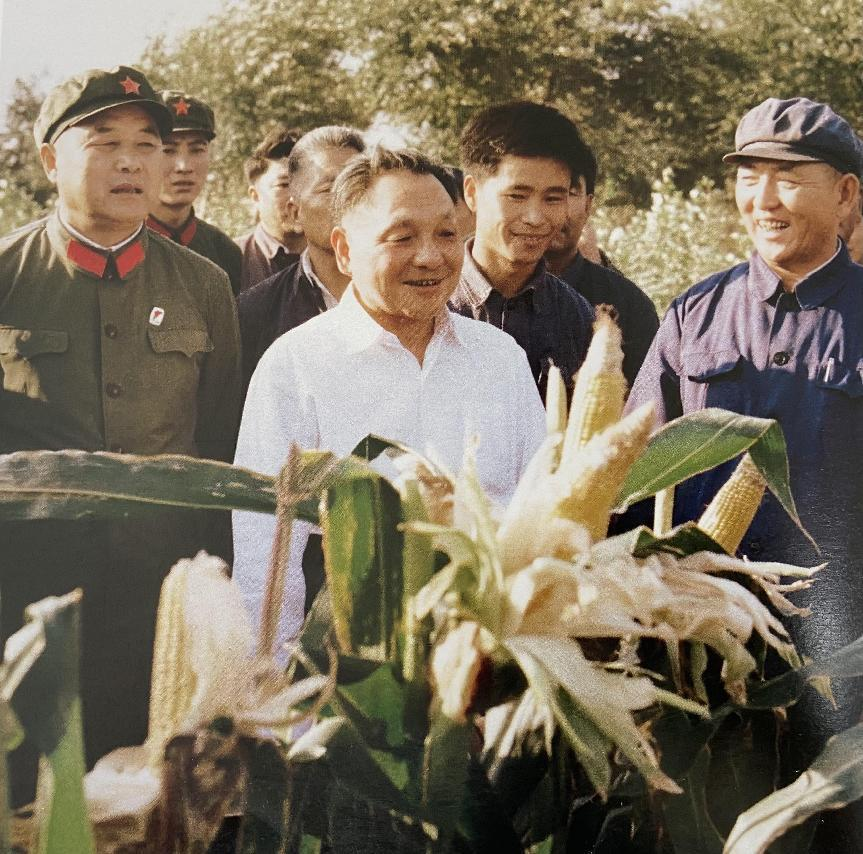 640(5).png 640(5).png